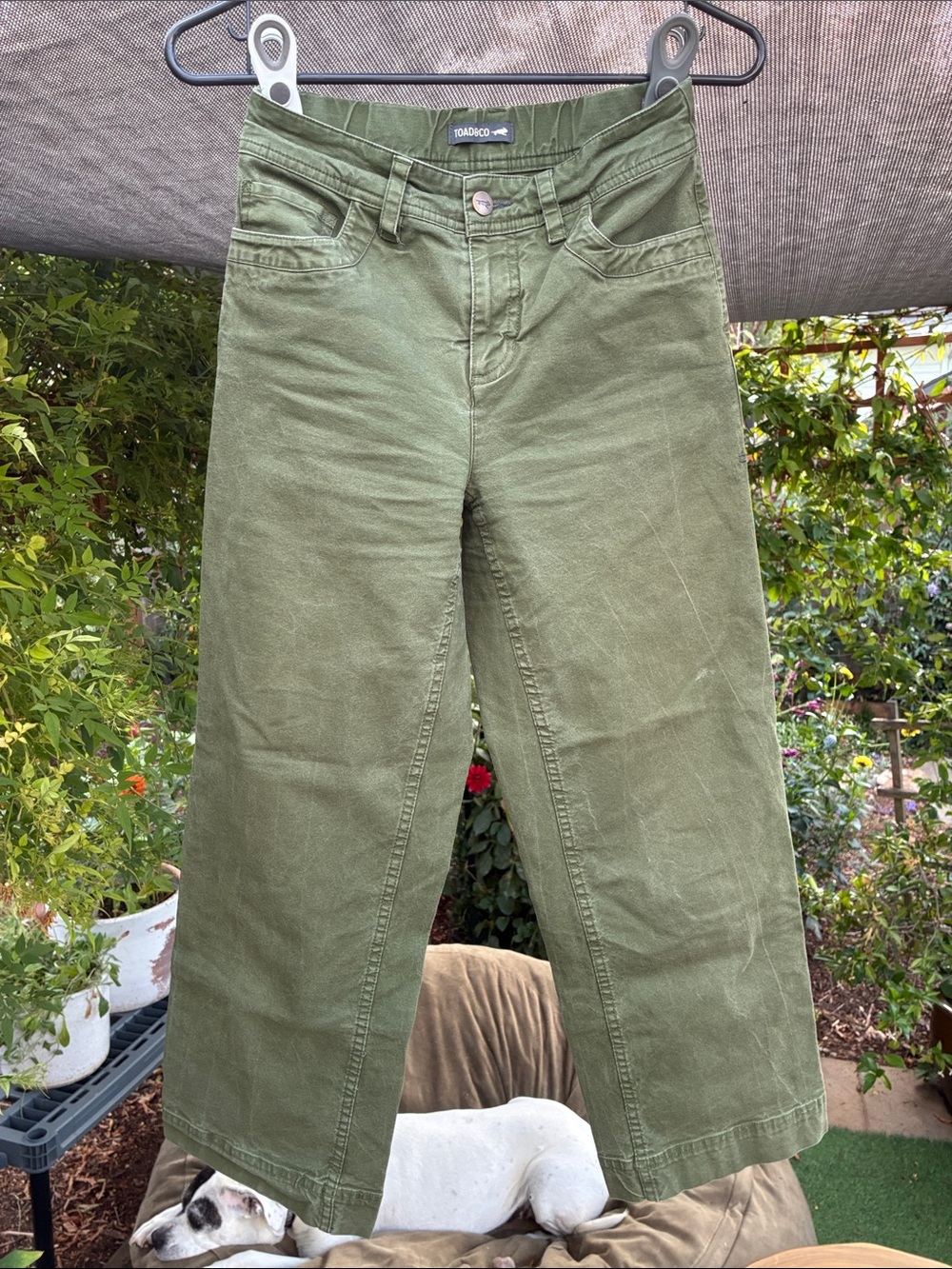 Toad&Co women’s olive cropped pants, size 2